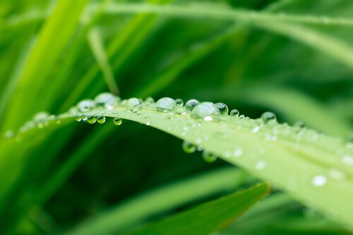Unos investigadores del MIT han conseguido evaporar agua con luz: se trata de un hallazgo sorprendente